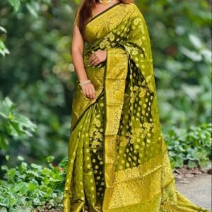 Soft silk katan sharee